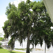 Picture 007